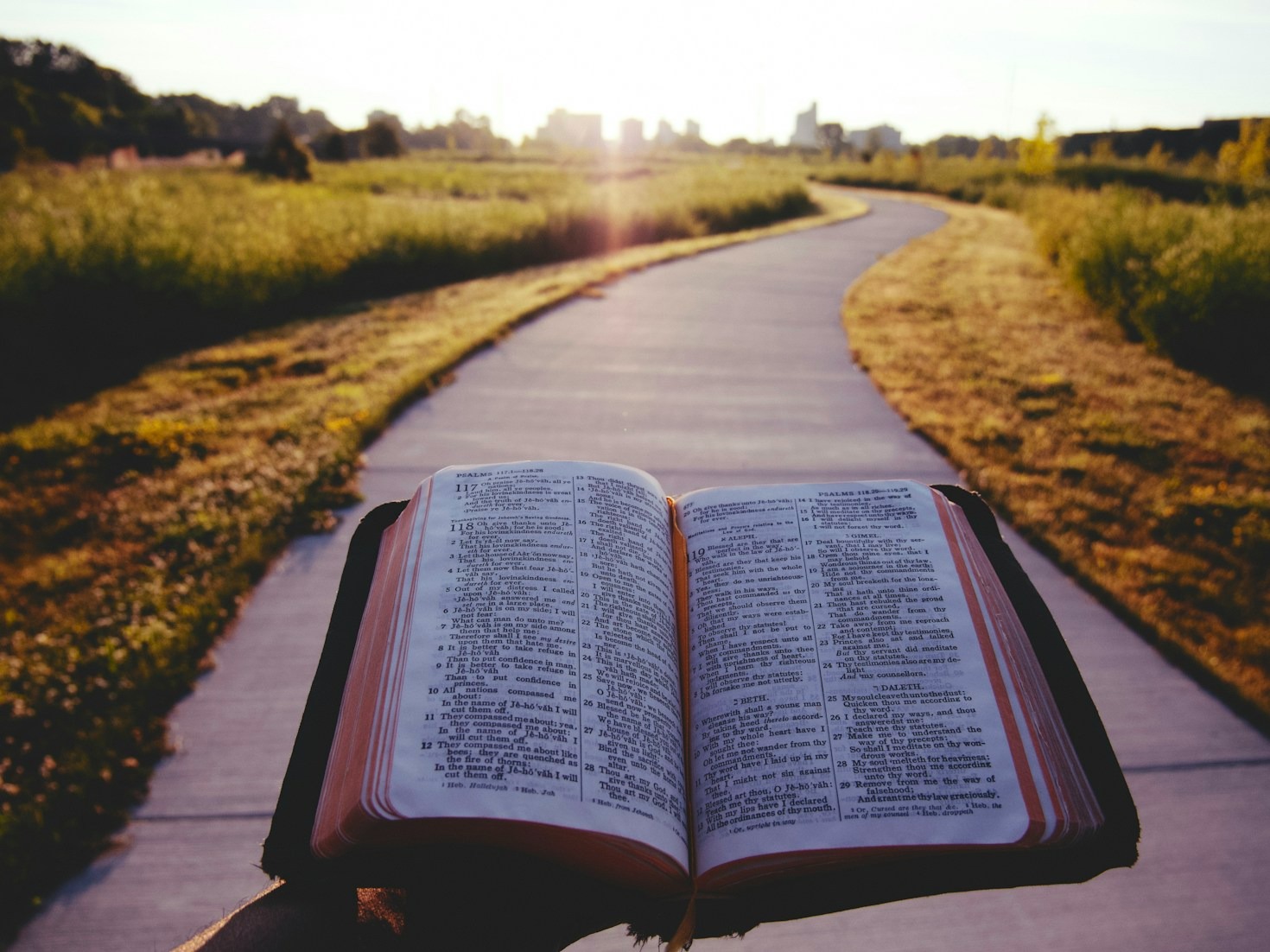 Finding Quiet Moments In A Busy World